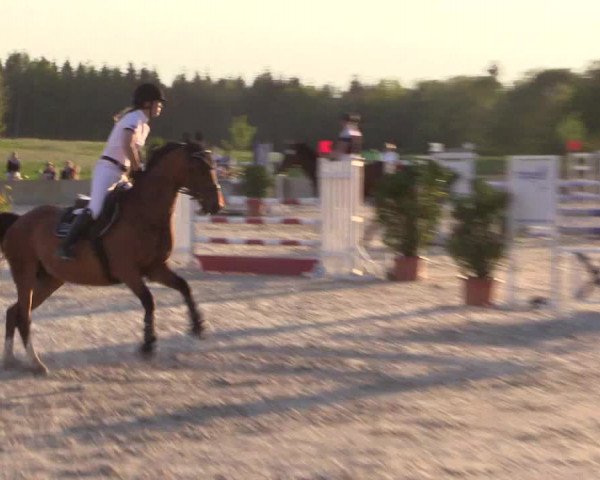 Reitturnier Oberfrauendorf 2017