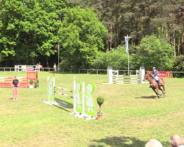 Reitturnier Stukenbrock 2017