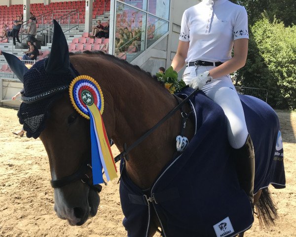 Zuchtstute Pearlane Von Der Wiesharde (Deutsches Reitpony, 2007, von Antares N)