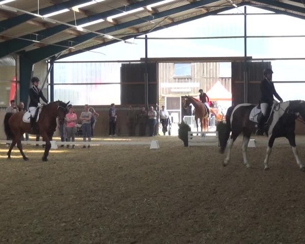 Reitturnier Remscheid, Buscher Hof 2017