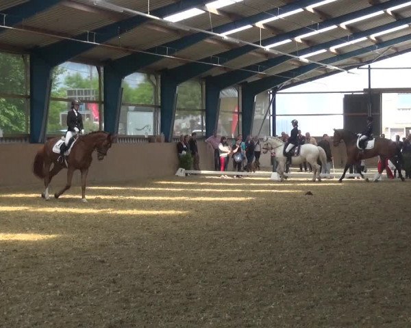 Reitturnier Remscheid, Buscher Hof 2017