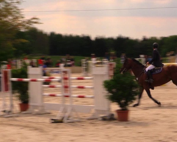 Reitturnier Oberfrauendorf 2017