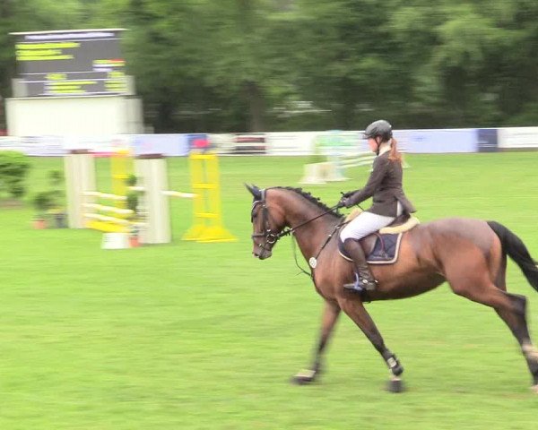Reitturnier Stukenbrock 2017