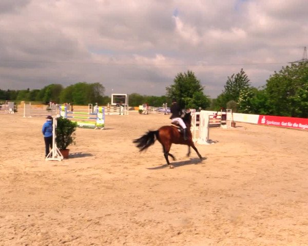 Reitturnier Oberfrauendorf 2017