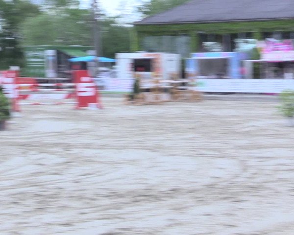 Reitturnier Nienberge 2017