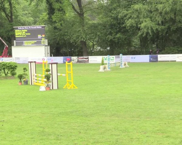Reitturnier Stukenbrock 2017