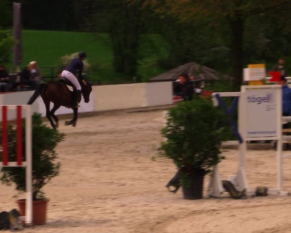 Reitturnier Oberfrauendorf 2017