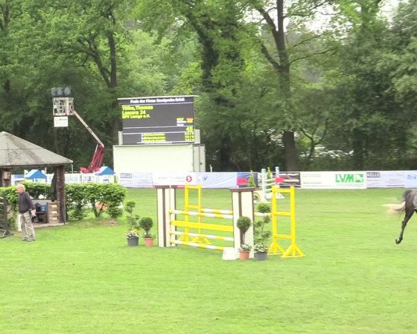 Reitturnier Stukenbrock 2017