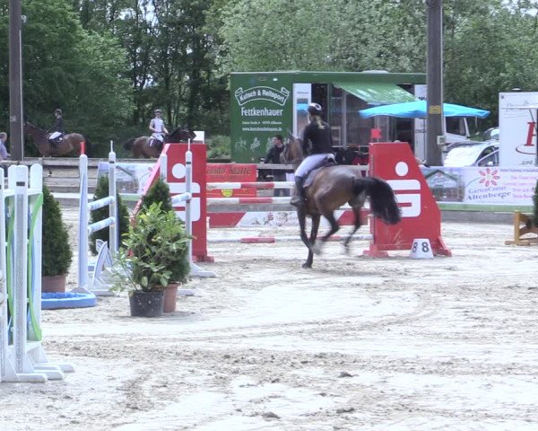 Reitturnier Nienberge 2017