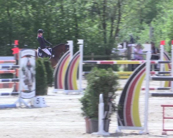 Reitturnier Nienberge 2017