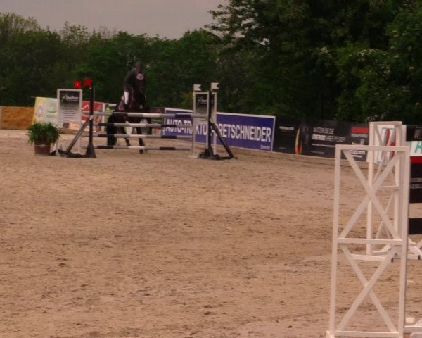 Reitturnier Oberfrauendorf 2017