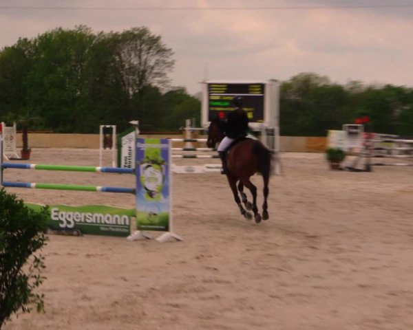 Reitturnier Oberfrauendorf 2017