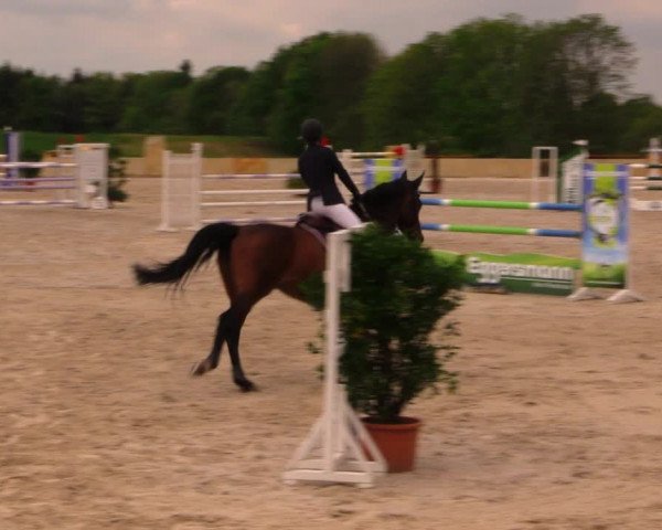 Reitturnier Oberfrauendorf 2017