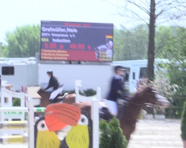 Reitturnier Nienberge 2017