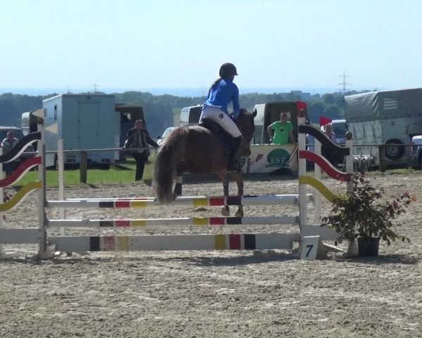 Reitturnier Burscheid-Paffenlöh 2017