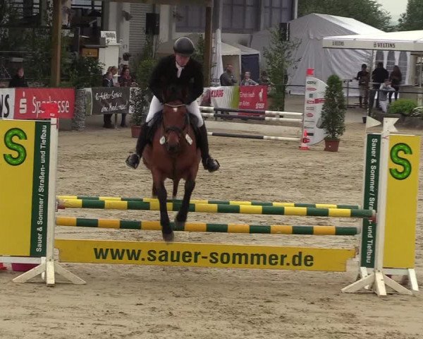 Reitturnier Hellefeld 2017