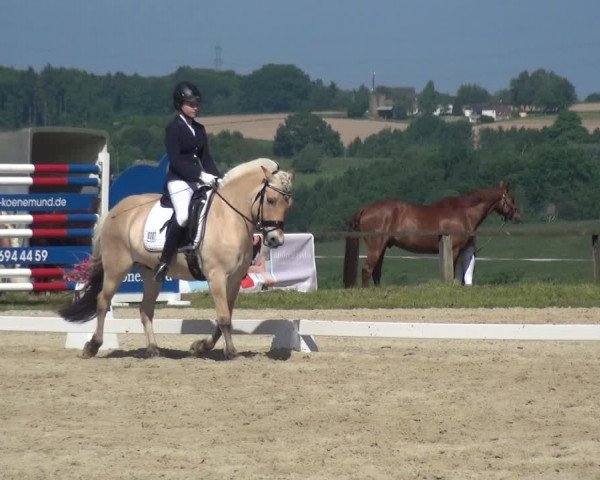 Reitturnier Burscheid-Paffenlöh 2017