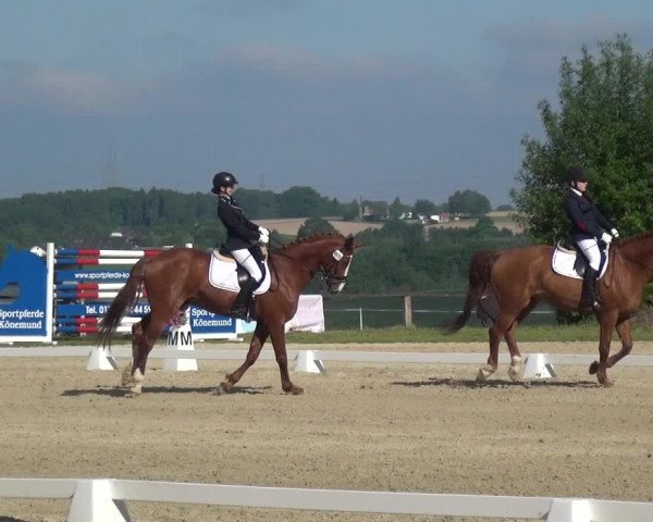 Reitturnier Burscheid-Paffenlöh 2017