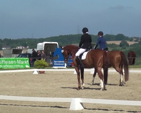 Reitturnier Burscheid-Paffenlöh 2017