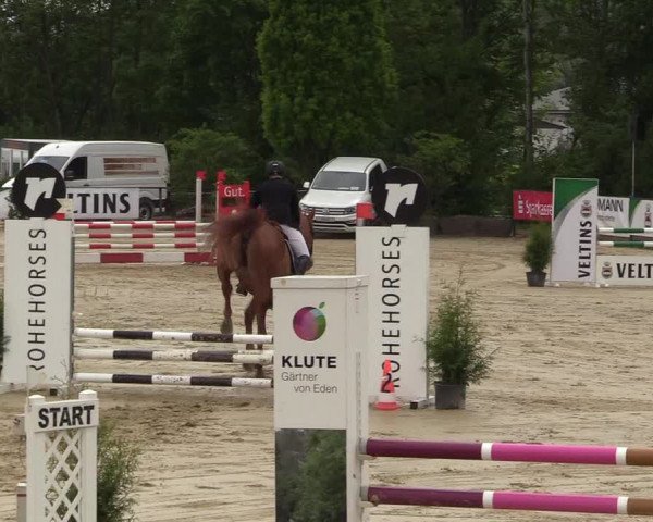 Reitturnier Hellefeld 2017