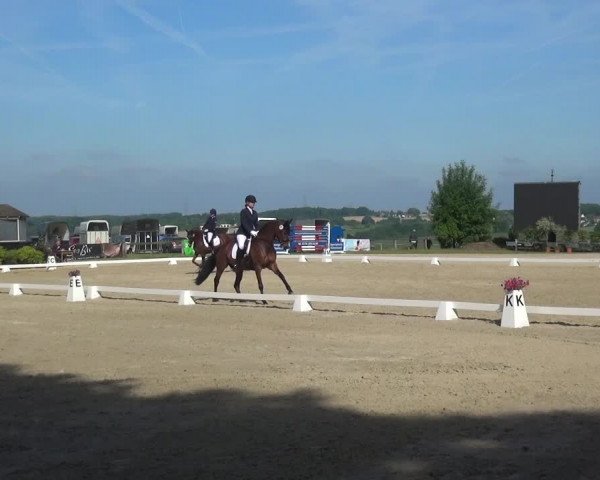 Reitturnier Burscheid-Paffenlöh 2017