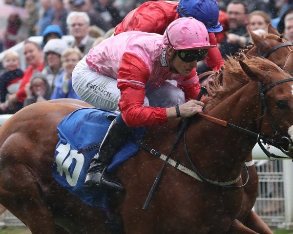 horse East xx (Thoroughbred, 2016, from Frankel xx)