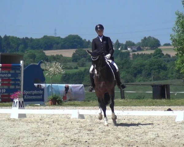 Reitturnier Burscheid-Paffenlöh 2017