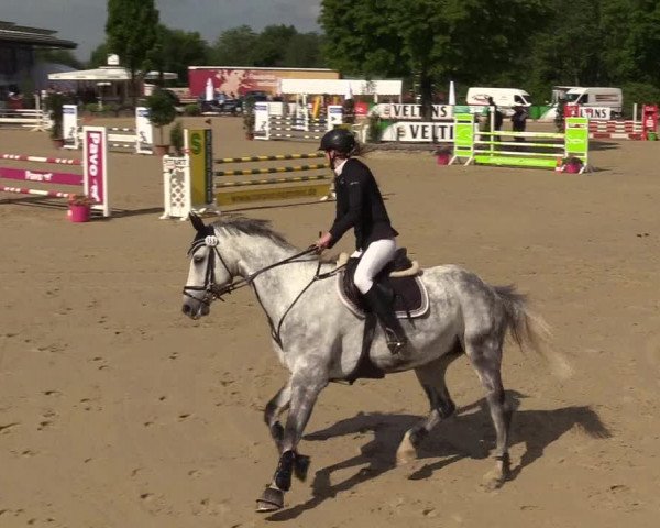Reitturnier Hellefeld 2017
