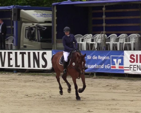 Reitturnier Hellefeld 2017