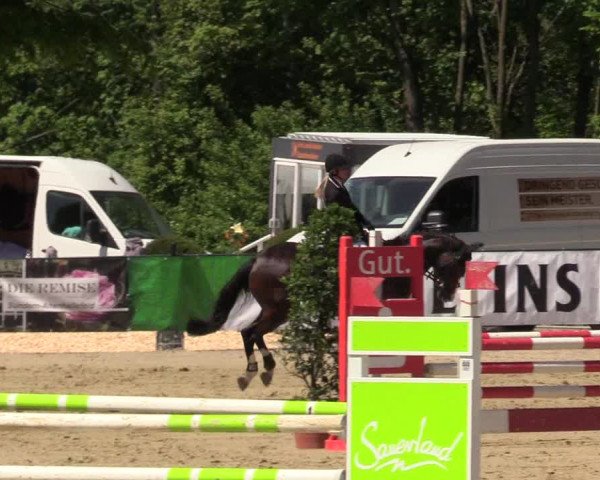 Reitturnier Hellefeld 2017