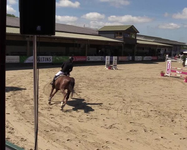 Reitturnier Hellefeld 2017