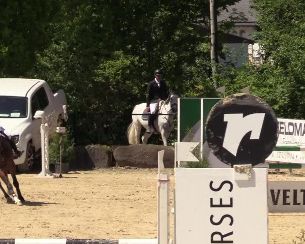 Reitturnier Hellefeld 2017
