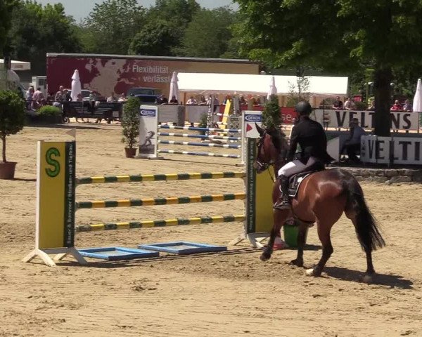 Reitturnier Hellefeld 2017