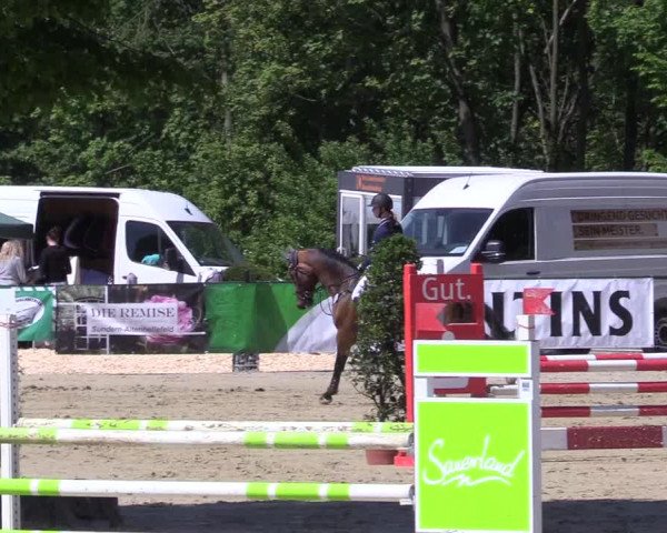 Reitturnier Hellefeld 2017