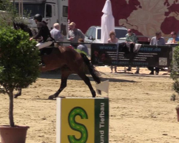 Reitturnier Hellefeld 2017