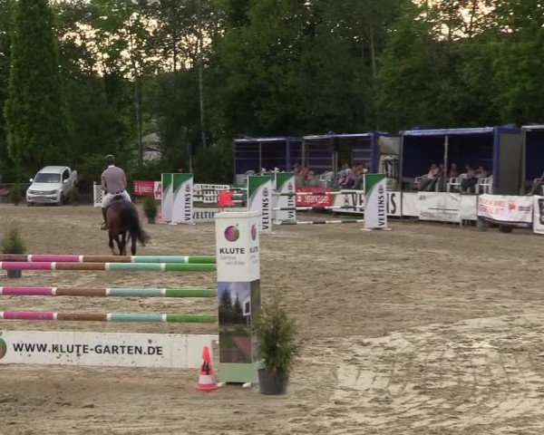 Reitturnier Hellefeld 2017
