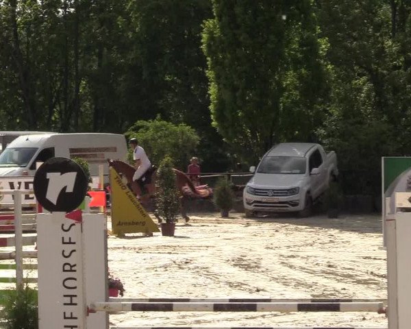 Reitturnier Hellefeld 2017
