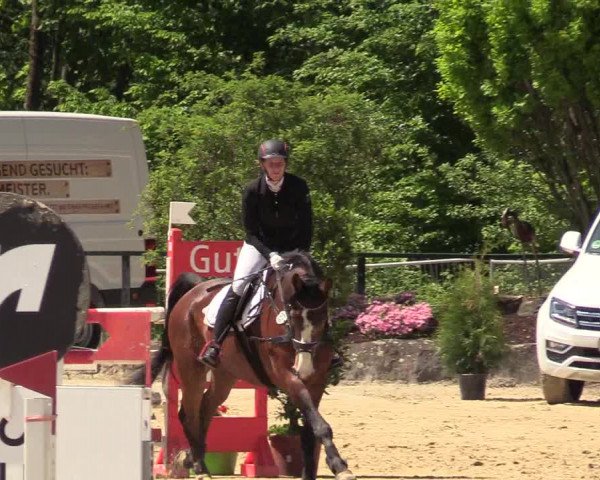 Reitturnier Hellefeld 2017