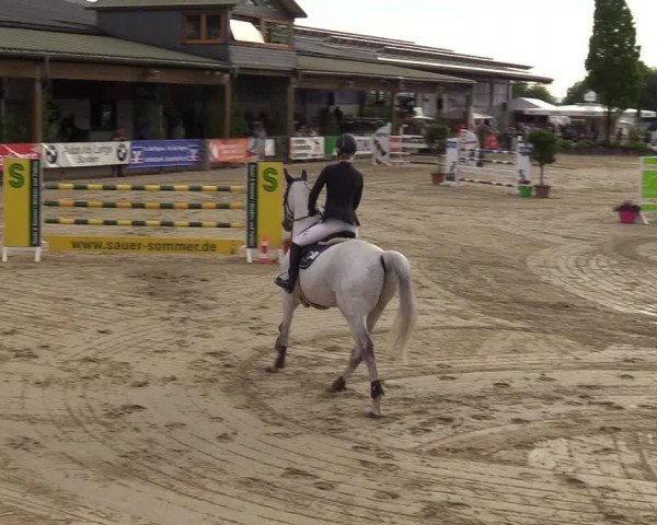 Reitturnier Hellefeld 2017