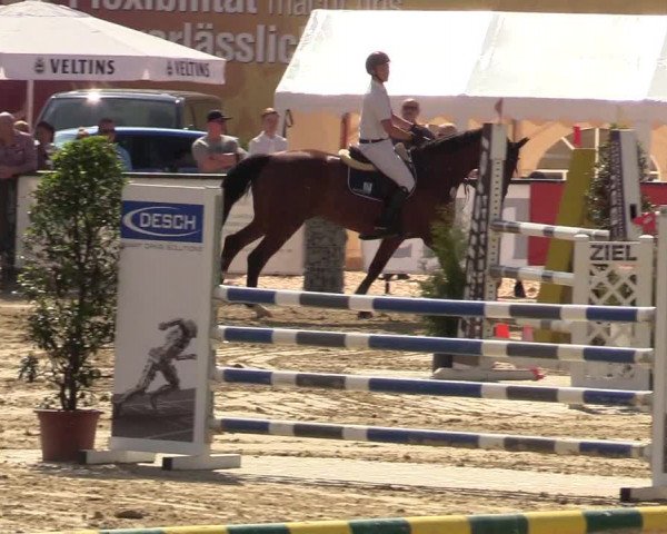 Reitturnier Hellefeld 2017