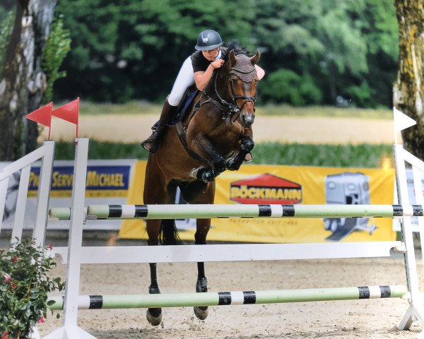 broodmare Caissie CH (Swiss Warmblood, 2009, from Corino)