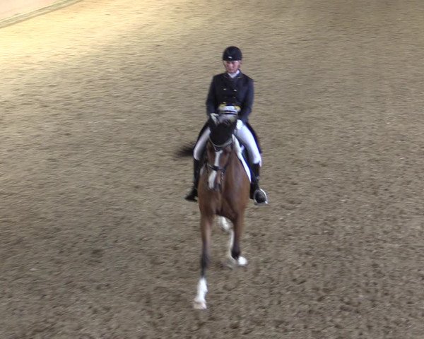 Reitturnier Hamm-Rhynern 2017