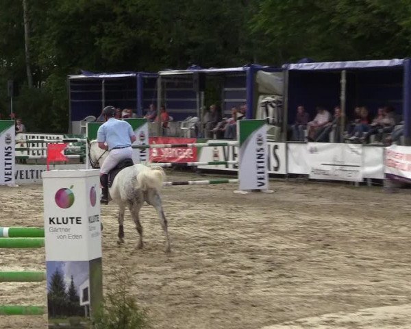 Reitturnier Hellefeld 2017