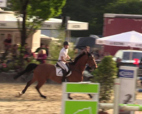 Reitturnier Hellefeld 2017