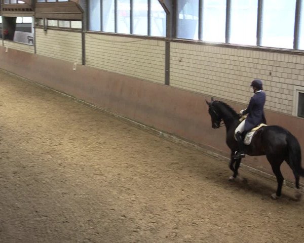 Reitturnier Hamm-Rhynern 2017