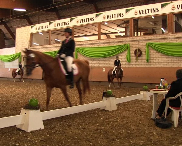Reitturnier Hellefeld 2017
