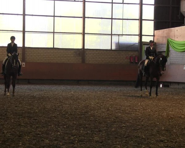 Reitturnier Hellefeld 2017