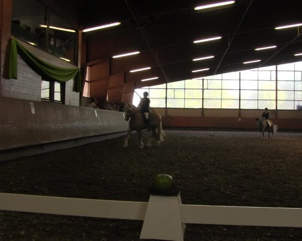 Reitturnier Hellefeld 2017