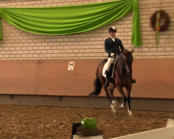 Reitturnier Hellefeld 2017