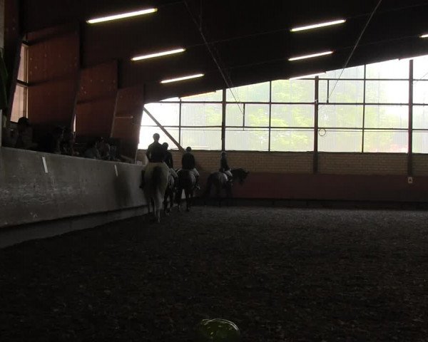 Reitturnier Hellefeld 2017